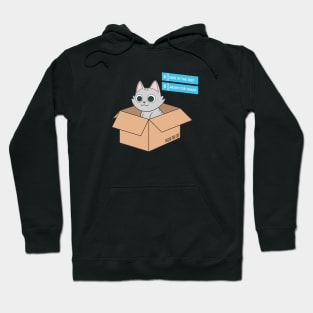 Gamer cat in a box Hoodie